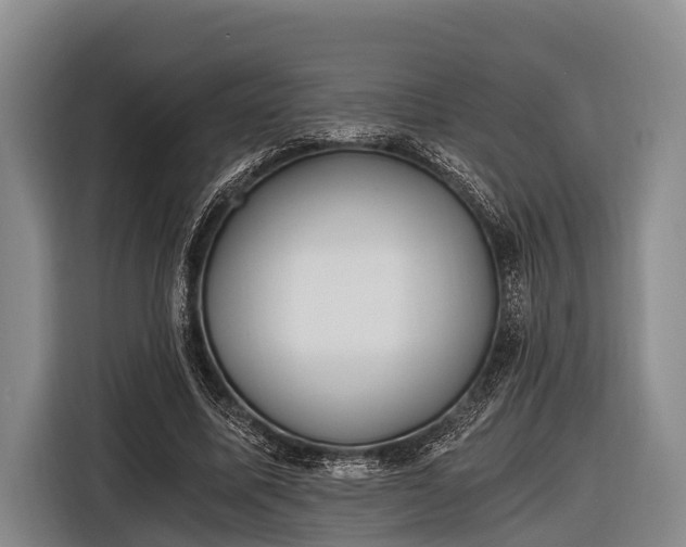 X0000116860587200912291301