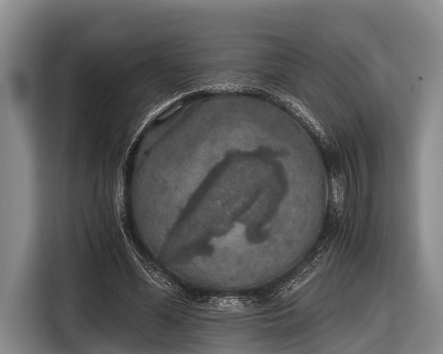 X0000116860588200912291301