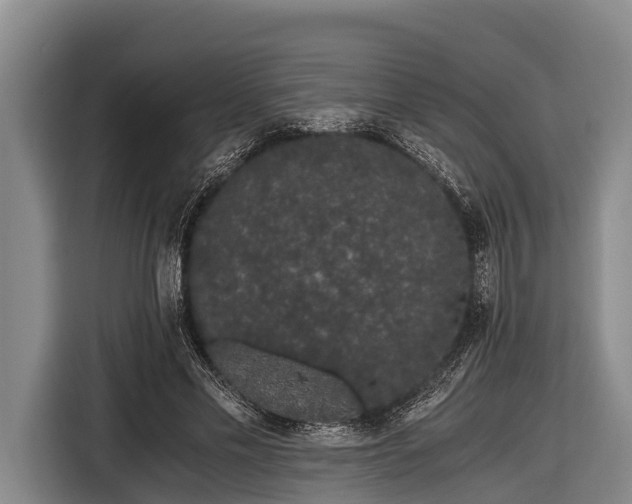 X0000116860589200912291301