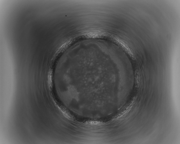 X0000116860590200912291301