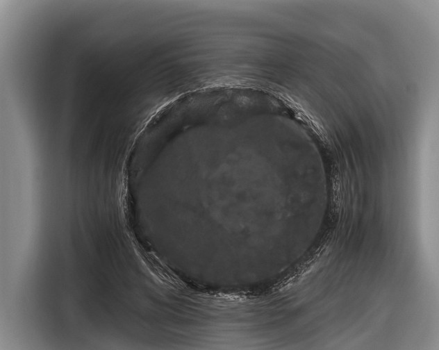 X0000116860592200912291301