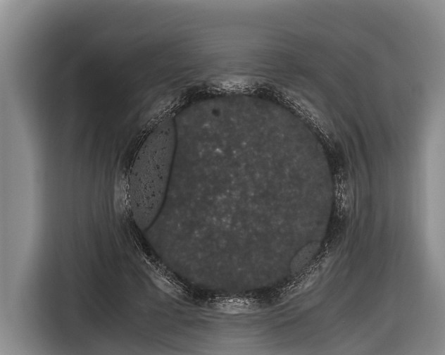 X0000116860593200912291301