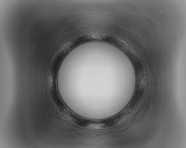 X0000116860595200912291301