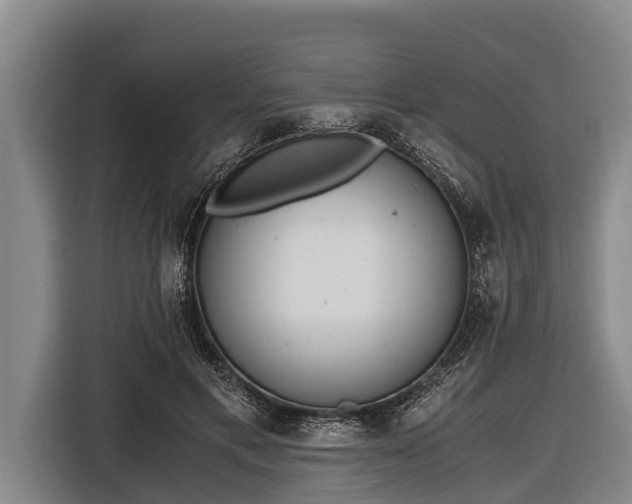 X0000116860597200912291301