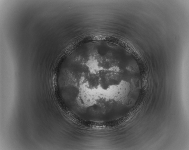 X0000116860598200912291301