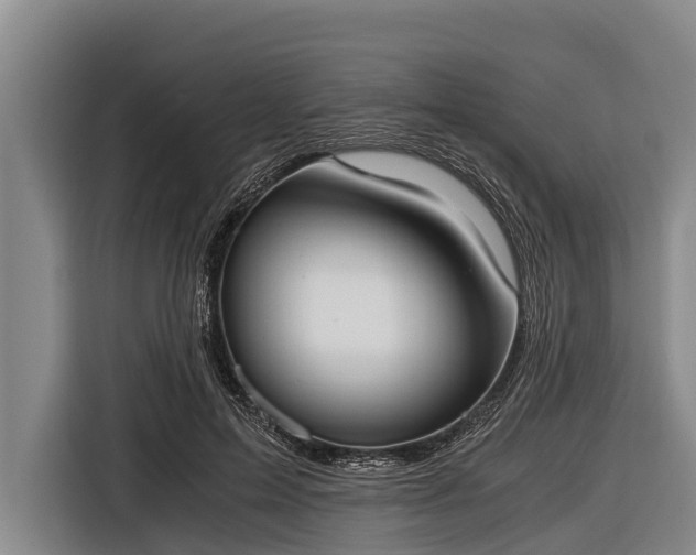 X0000116860599200912291301