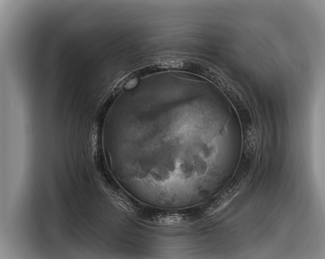 X0000116860600200912291301