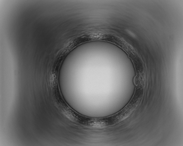 X0000116860601200912291301