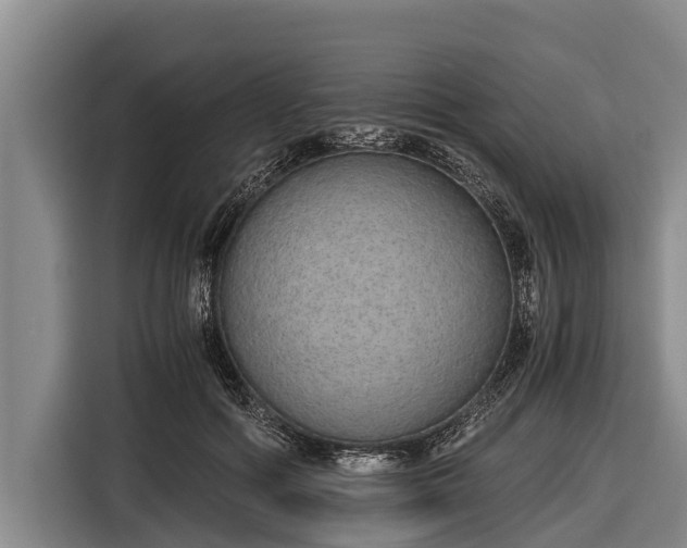 X0000116860602200912291301