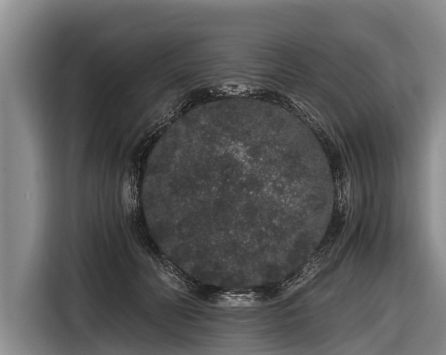 X0000116860606200912291301