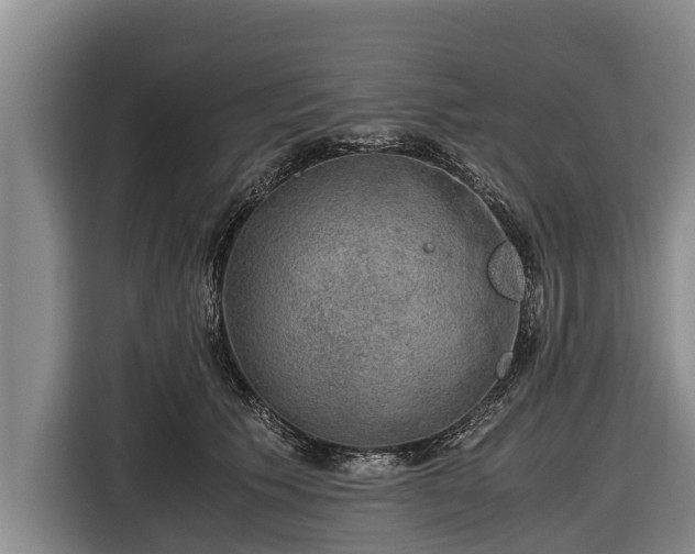 X0000116860609200912291301