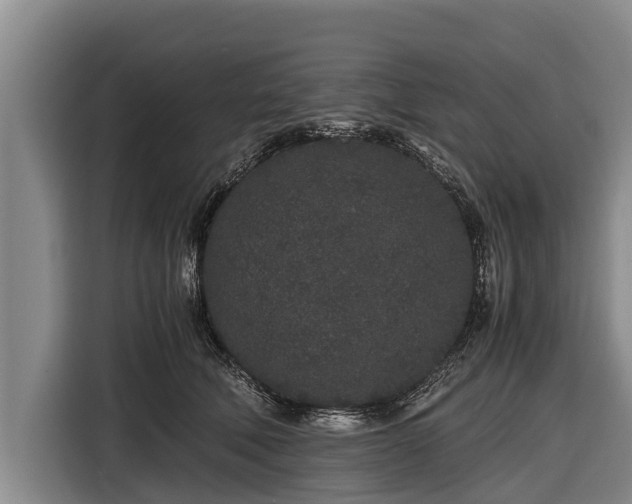 X0000116860610200912291301