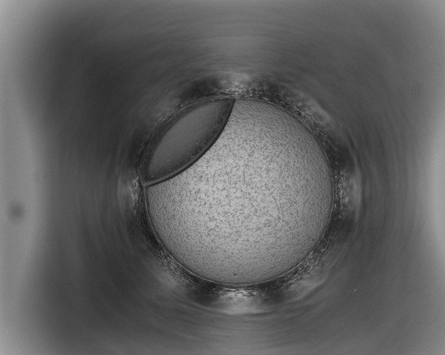 X0000116860611200912291301