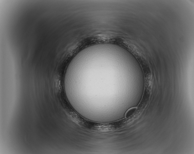 X0000116860615200912291301