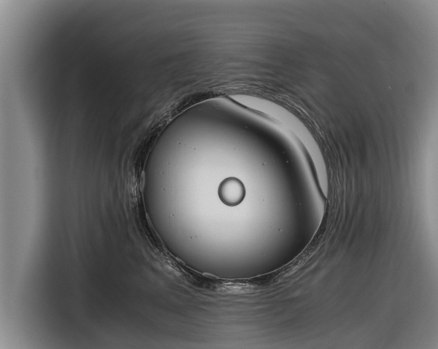 X0000116860617200912291301