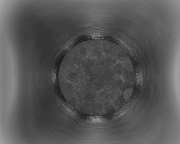 X0000116860618200912291301