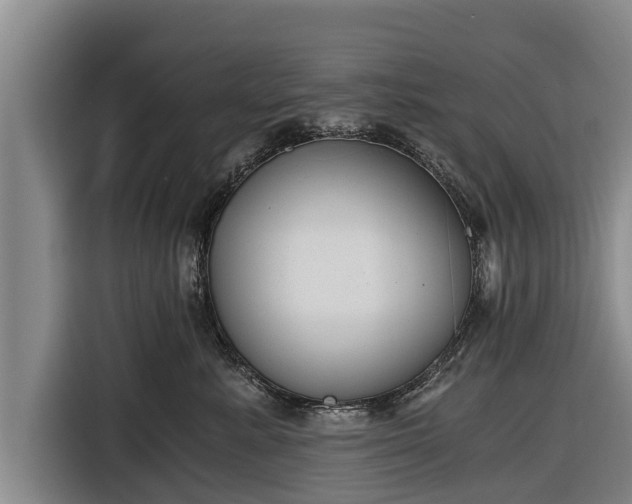 X0000116860619200912291301