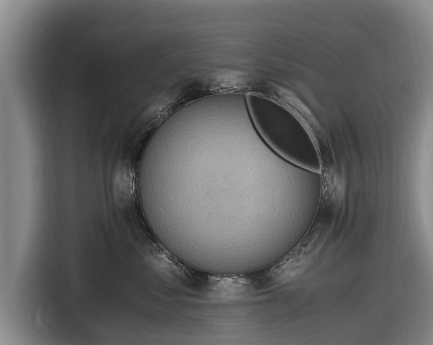 X0000116860621200912291301