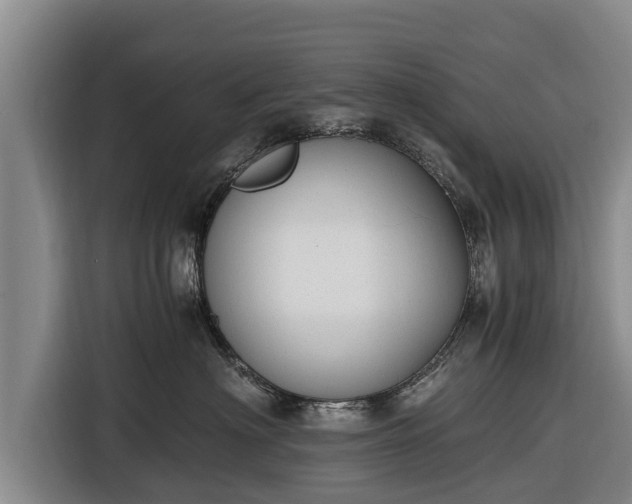 X0000116860622200912291301