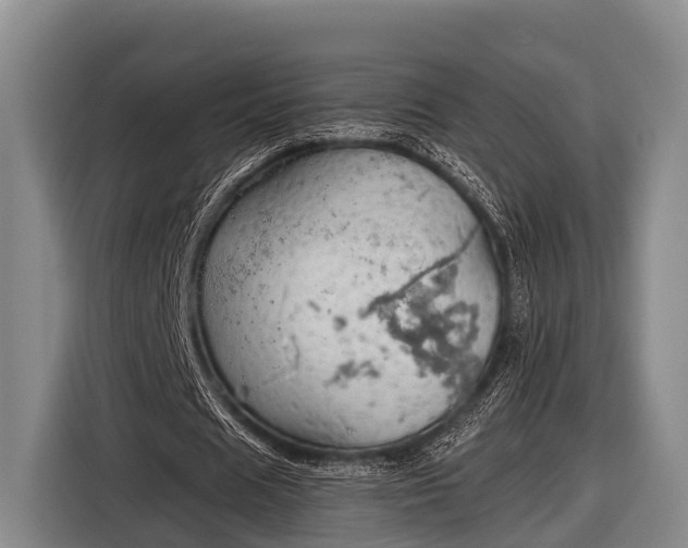 X0000116860625200912291300