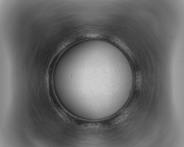 X0000116860626200912291300