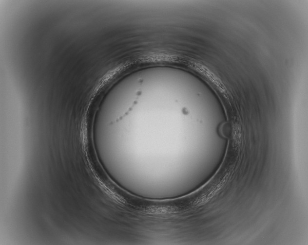 X0000116860629200912291300