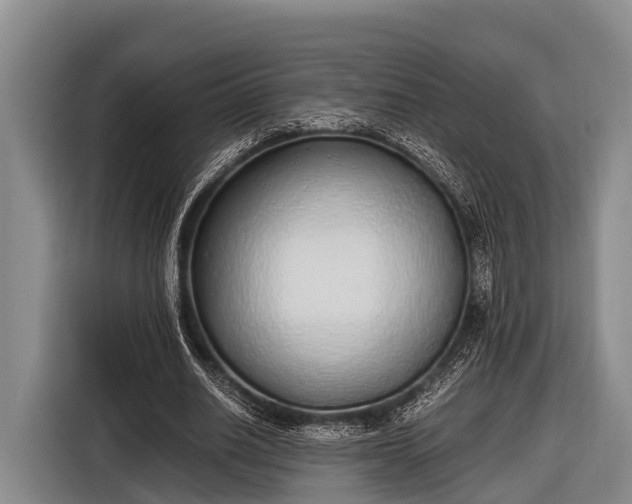 X0000116860630200912291300