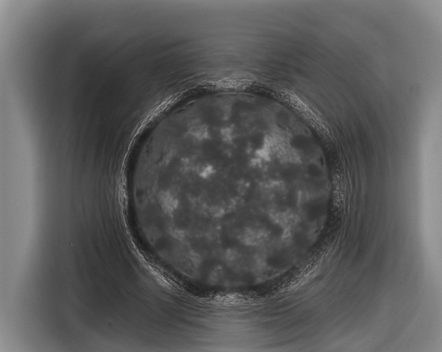 X0000116860634200912291300