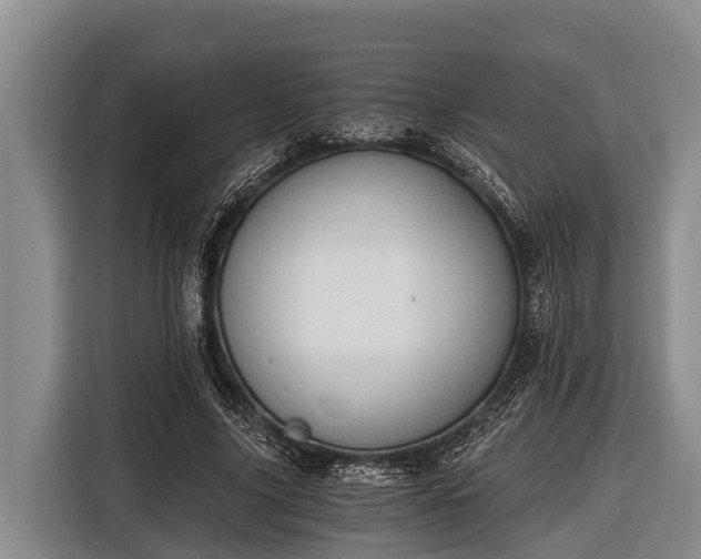 X0000116860635200912291300