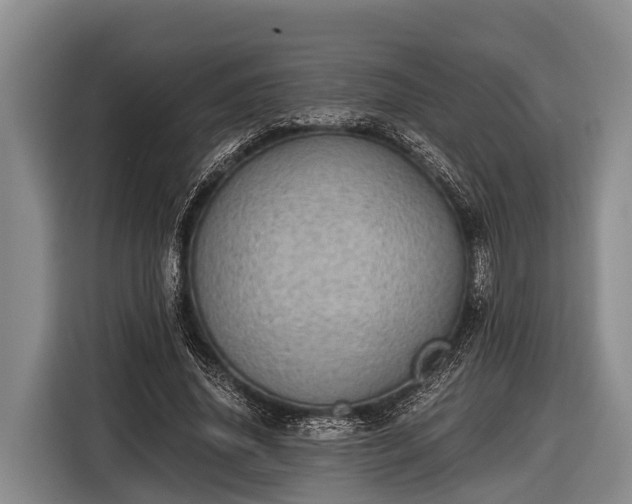 X0000116860636200912291300