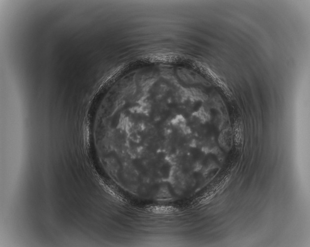 X0000116860637200912291300