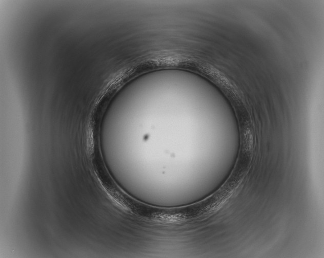 X0000116860638200912291300