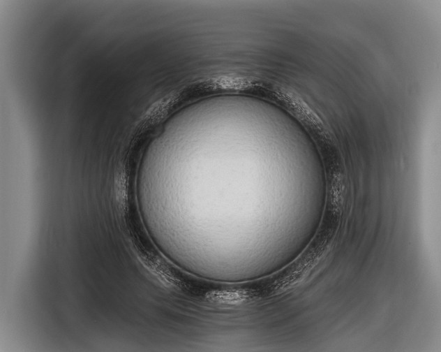 X0000116860639200912291300