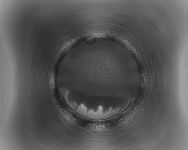 X0000116860640200912291300