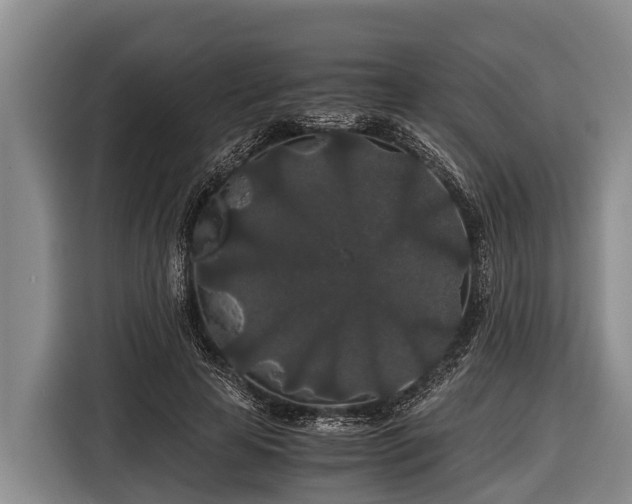 X0000116860641200912291300