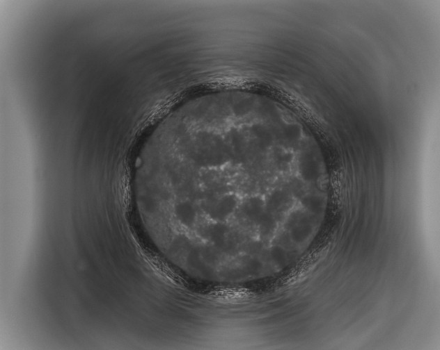 X0000116860642200912291300