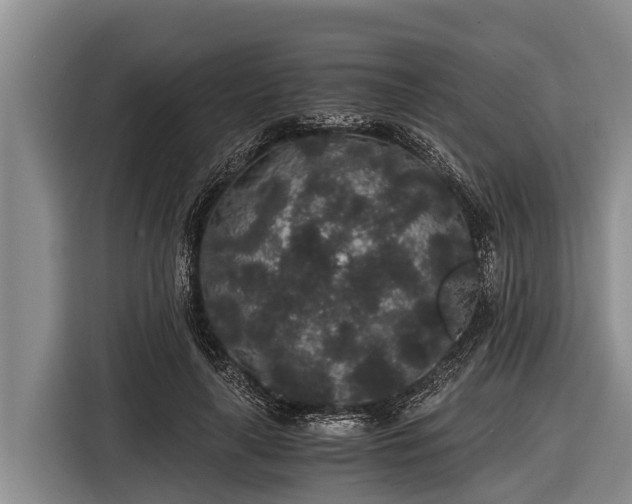 X0000116860643200912291300