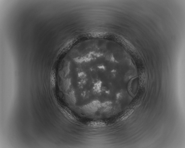 X0000116860644200912291300