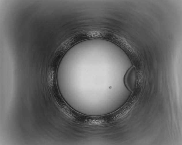 X0000116860645200912291300