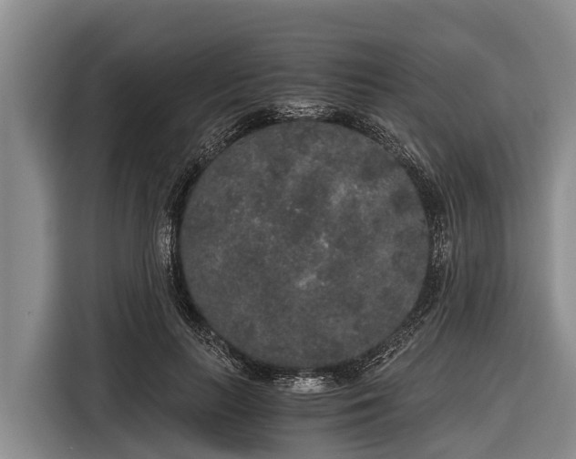 X0000116860647200912291301