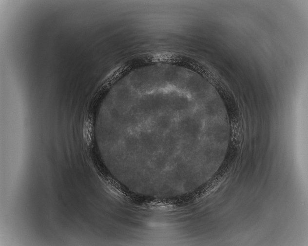 X0000116860648200912291301