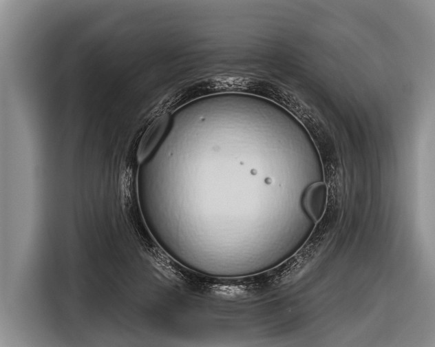 X0000116860649200912291301