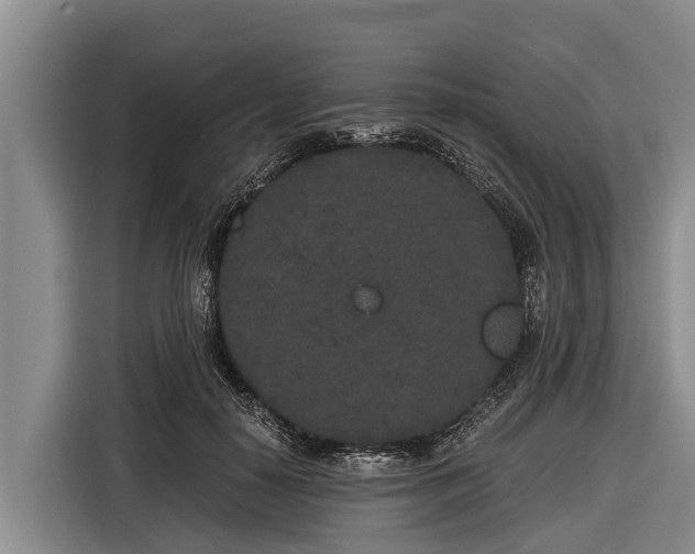 X0000116860650200912291301