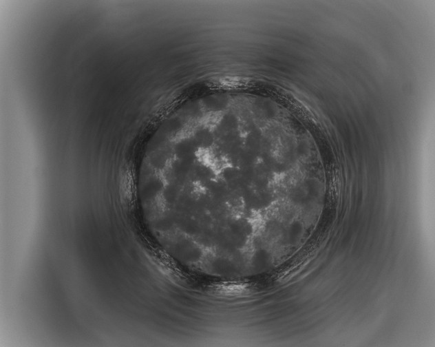 X0000116860651200912291301