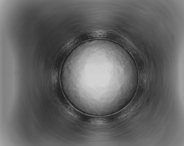 X0000116860652200912291301