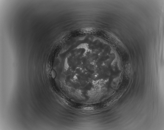 X0000116860653200912291301