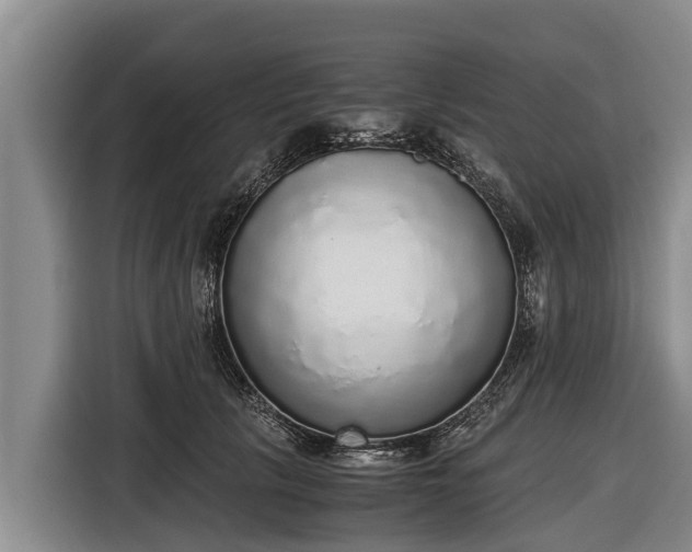 X0000116860657200912291301