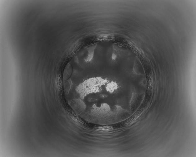 X0000116860659200912291301