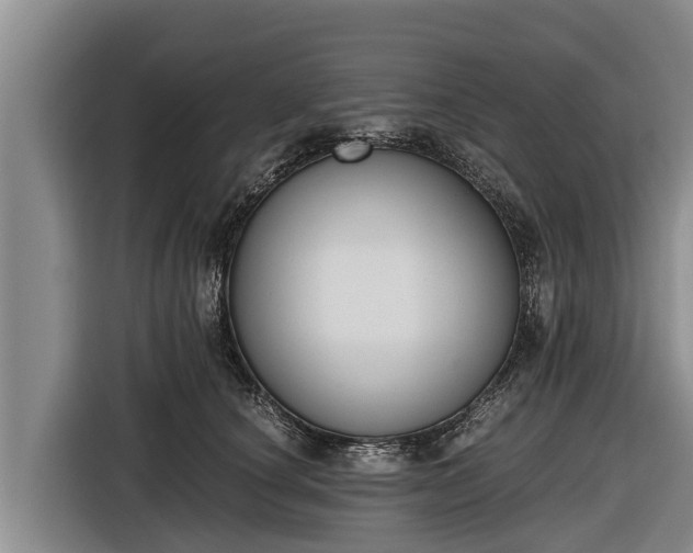 X0000116860660200912291301