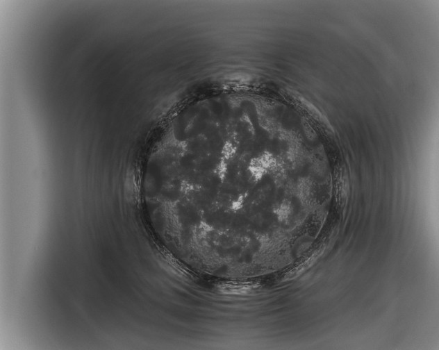 X0000116860661200912291301